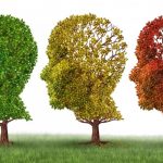 Alzheimer, Parkinson : les bactéries et l’environnement y sont pour beaucoup