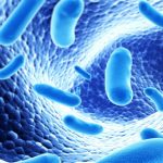 Antibiotiques et maladies intestinales : les probiotiques sont-ils nécessaires ?
