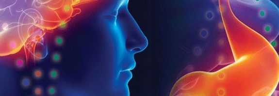 L'entéropsychologie, relation intestin-cerveau