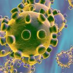 Coronavirus et défenses immunitaires