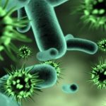 Covid-19 : la piste du microbiote, vers un nouveau paradigme ?