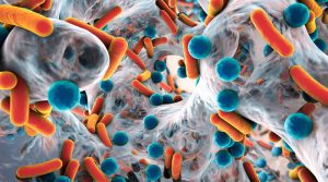 COVID-19 : Les bactéries, dont prevotella, sont bien de la partie